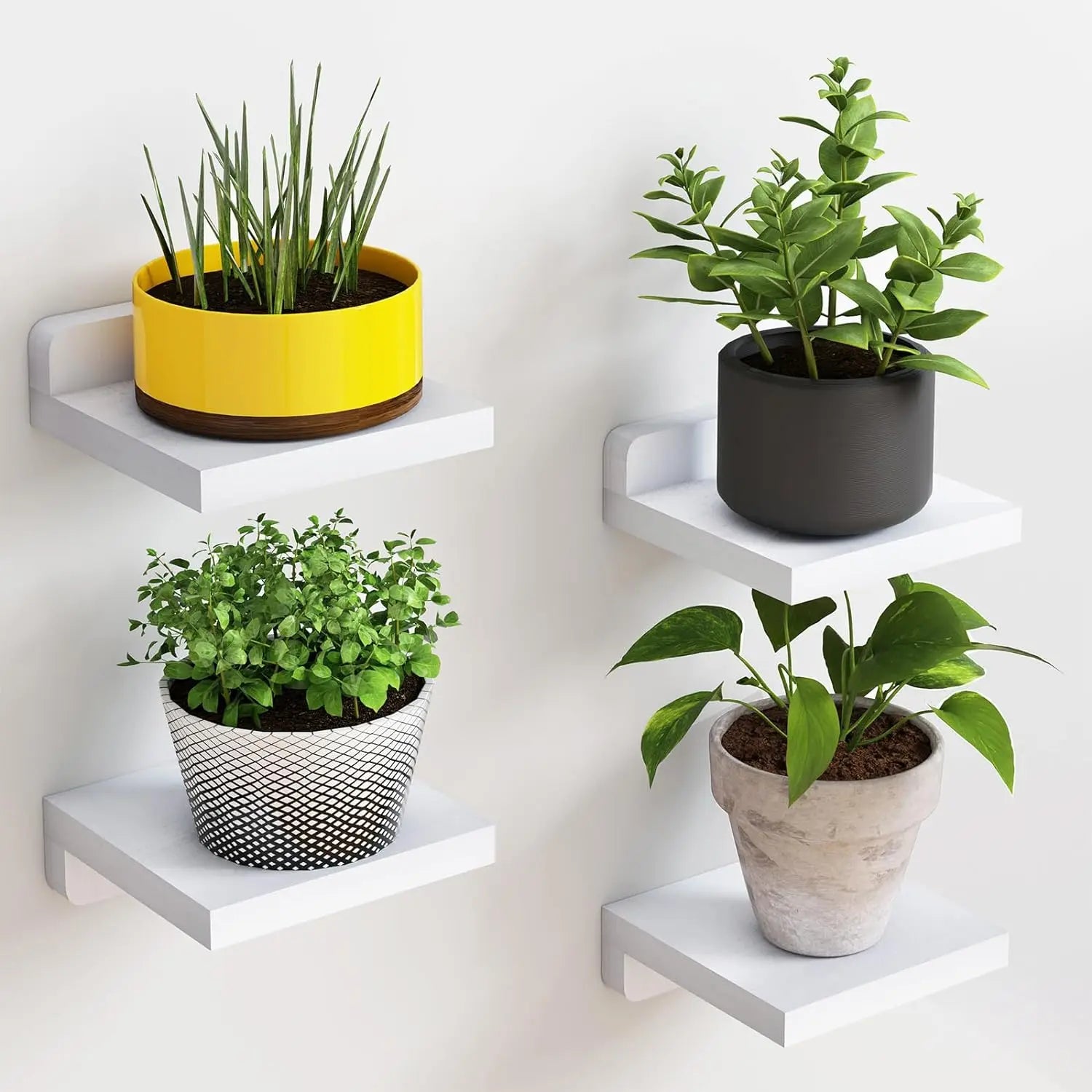 4-Pack Small Floating Shelves for Wall, Wood Shelf 5 Inch Display