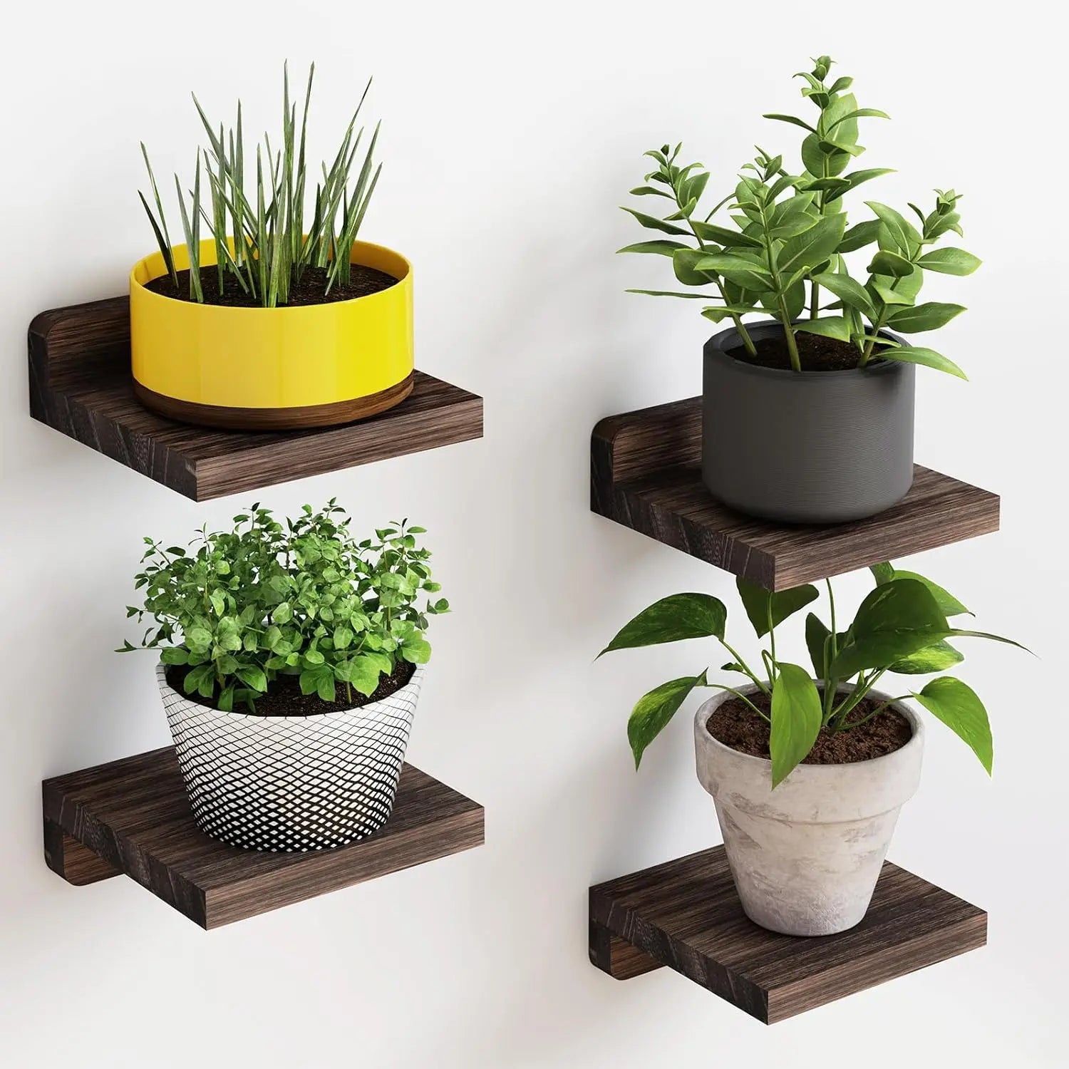4-Pack Small Floating Shelves for Wall, Wood Shelf 5 Inch Display